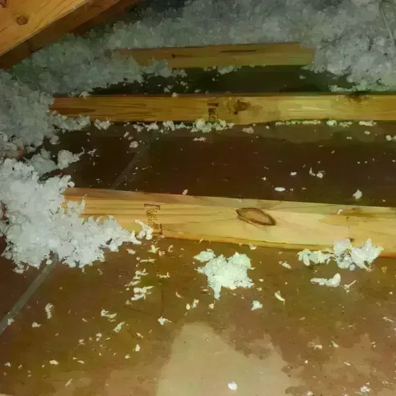 Best Attic Water Damage Service in Centreville, MS