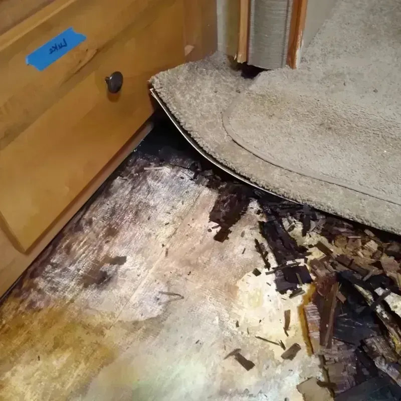 Best Wood Floor Water Damage Service in Centreville, MS